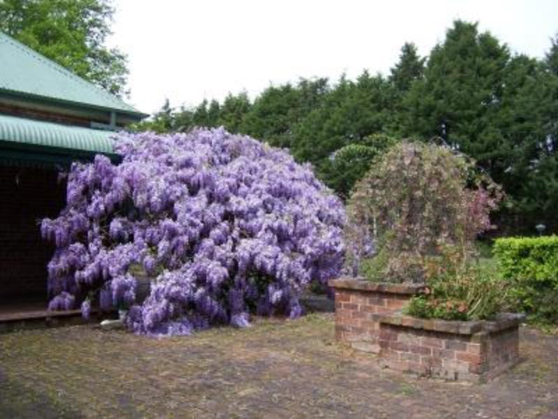 Heronswood House B & B Moss Vale Dış mekan fotoğraf